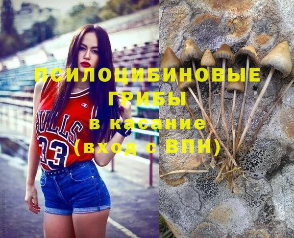 дживик Остров