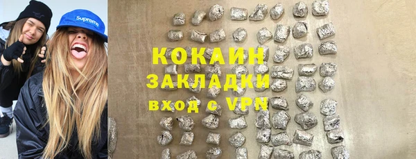 стаф Алзамай