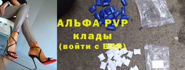 стаф Алзамай